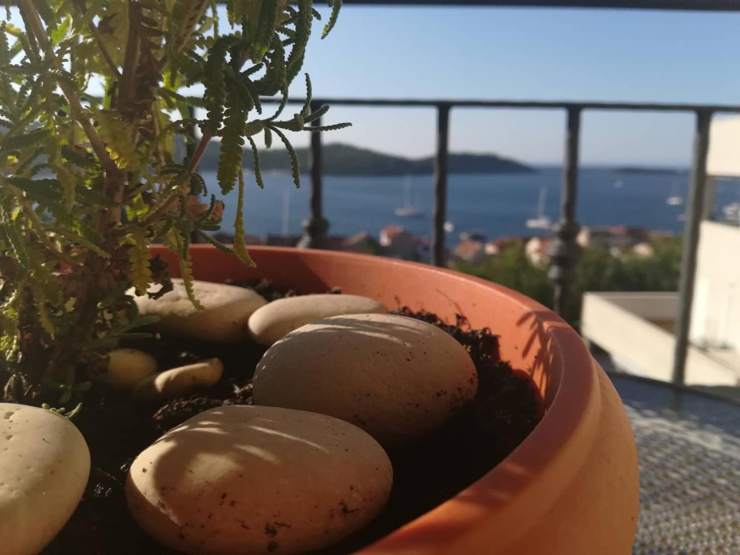 A Lovely And Cozy Room With A Breathtaking View فيس المظهر الخارجي الصورة